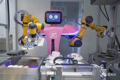 李虹均:烹饪机器人"大厨"亮相武汉,服务机器人行业崛起正当时
